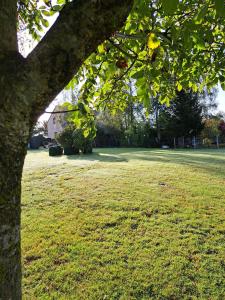 Les marmottes - Maison de vacances La Roche-en-Ardenne