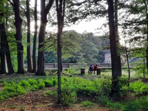 Havezate Den Alerdinck