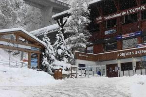 Appartements Studio Acacia Brides Les Bains : photos des chambres