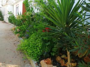 Casa dos Sonhos Glamping