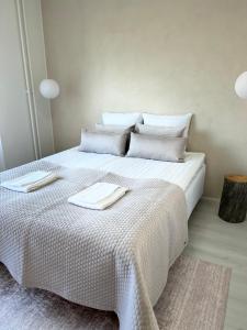 Arctic Luxury Apartment