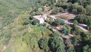 Mas de Troupelas - Aizac