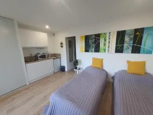 Studio Amèlie les bains - 泰克河畔阿尔莱