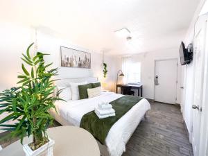 1k Bed Studio Apt With Shared Pool 02