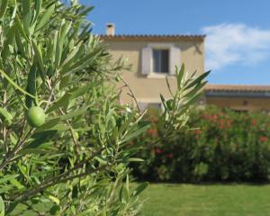 Gite Le Petit Luberon LISIANTHUS