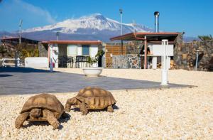 Bright apartment in Acireale, 60 sqm with shared pool