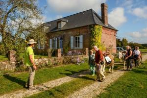 Chambres dhôtes du Coq à lAne