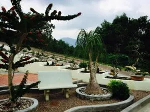 Bonsai Homestay Kluang - Meranti - Kampong Abdul Majid