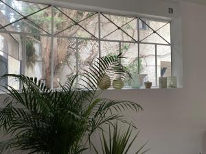 Artists Home - Villa & Private Courtyard - 200m2