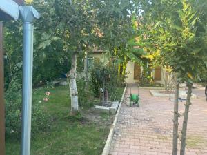 Appartements Residence Soleil : photos des chambres