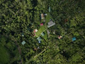 Finca Amistad Cacao Lodge