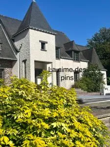 chambres d'hôtes, La cime des pins - Corps-Nuds