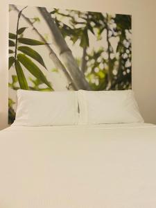 A & S Vacation Rooms