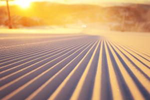 Chalet Apartments - Mt Buller Apartment Rentals