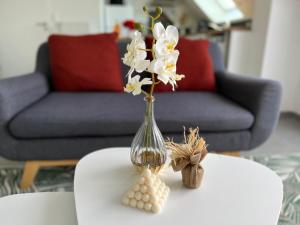 Appartements Le Tiguidou, Cosy, lumineux, 2-6 pers, plage 300m : photos des chambres