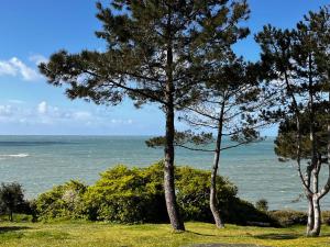 Appartements Le Tiguidou, Cosy, lumineux, 2-6 pers, plage 300m : photos des chambres