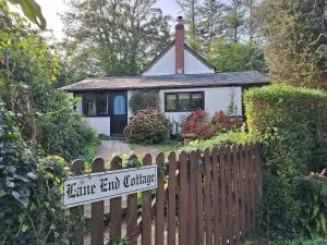Lane End Cottage - Cotleigh