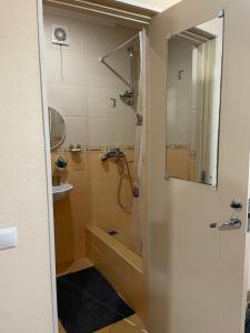 Aizkraukles studio tipa dzīvoklis