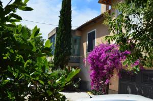 Appart'hotels Villa Maredda : photos des chambres