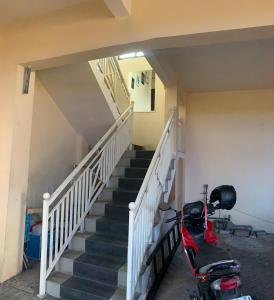 Butterfly Kost Tulungagung