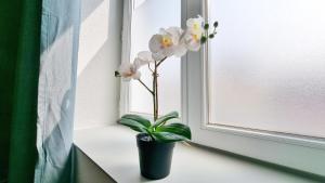 Appartements Chez JM - Calme - Chic - Fibre - Relax BNB : photos des chambres
