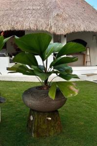 Luxury resort style Villa!