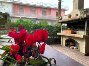 Triptolemus Stay Inn