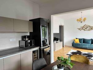 Loft Villa Floreasca