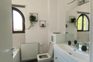 Loft Villa Floreasca