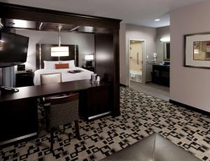 King Studio Suite - Non-Smoking room in Hampton Inn and Suites Marksville