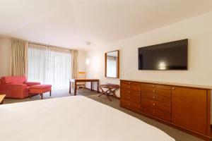 Camino Real Guadalajara