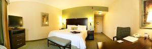 King Room with King Bed - Non-Smoking room in Hampton Inn Brentwood