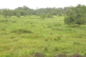 Otha Shy Airport Transit Hotel