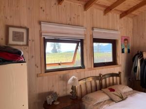 Preciosa cabaña pet friendly con vista a volcanes Villarica y Choshuenco, cerca Termas