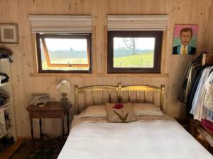 Preciosa cabaña pet friendly con vista a volcanes Villarica y Choshuenco, cerca Termas