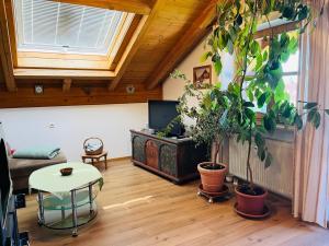 Apartment with Mountain View room in Haus Oberland