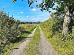 4 star holiday home in SÖLVESBORG-By Traum