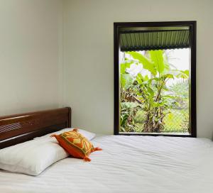 Phòng Có Giường Cỡ Queen Nhìn Ra Vườn (Queen Room with Garden View)