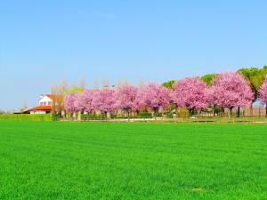 Agriturismo Le Cipressine
