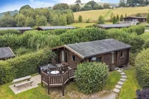 Barn Owl Lodge - Abbey-Cwmhir