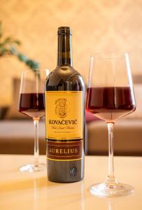 City Center Apartment