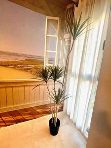 GATU PREMIUM El Puerto Centro aire acc, calefacc, wifi, parking y piscina comun Preferente mayores de 25 años y familias "