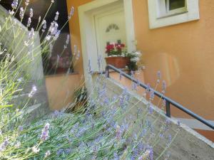 Rooms Irena Gregov