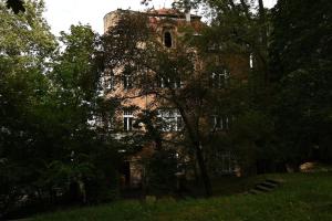 Quiet Haven in the Middle of the City