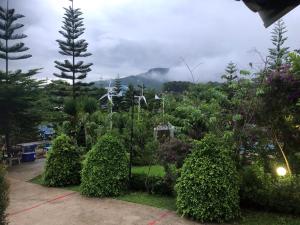 Tonkaew Khaokao Resort