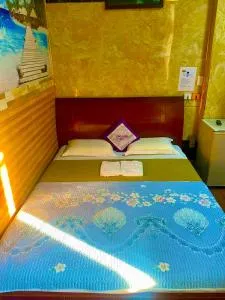 Khách sạn Mỹ Anh - Sholon