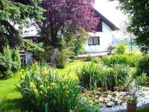 Double Room with Terrace room in Gasthaus-Pension Zum Brandweiher