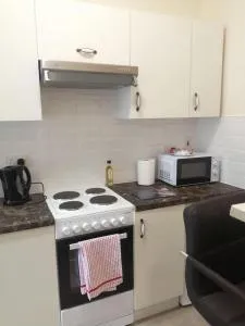 Charming 1-Bed Apartment in Cork - 弗莫伊