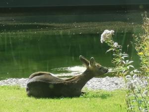 ScraB&Ble Ecologische gastenkamers