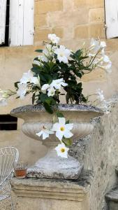 Château Le Repos - Luxury air-conditioned property with pool